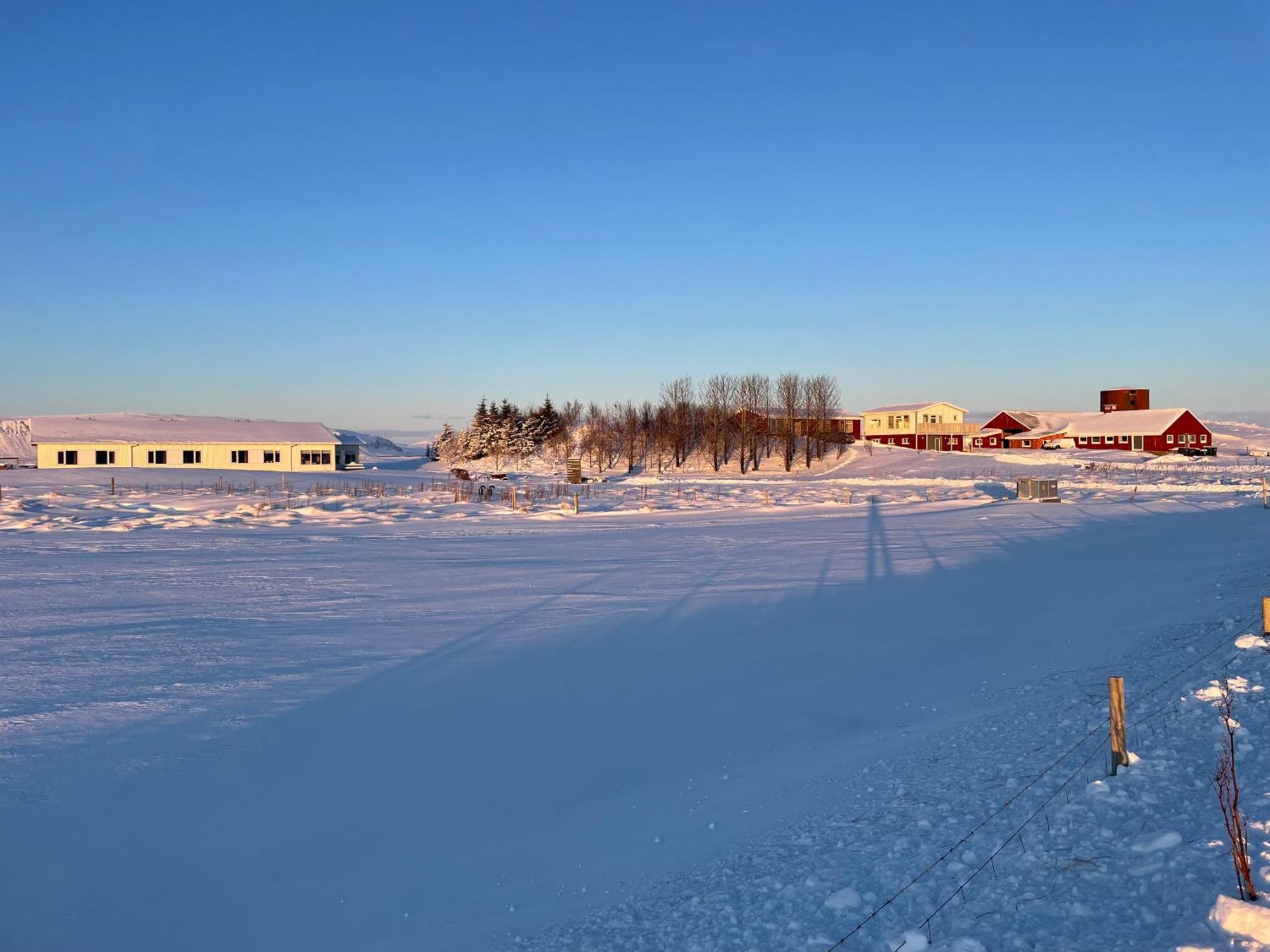 Lambastadir Guesthouse Selfoss Exterior foto
