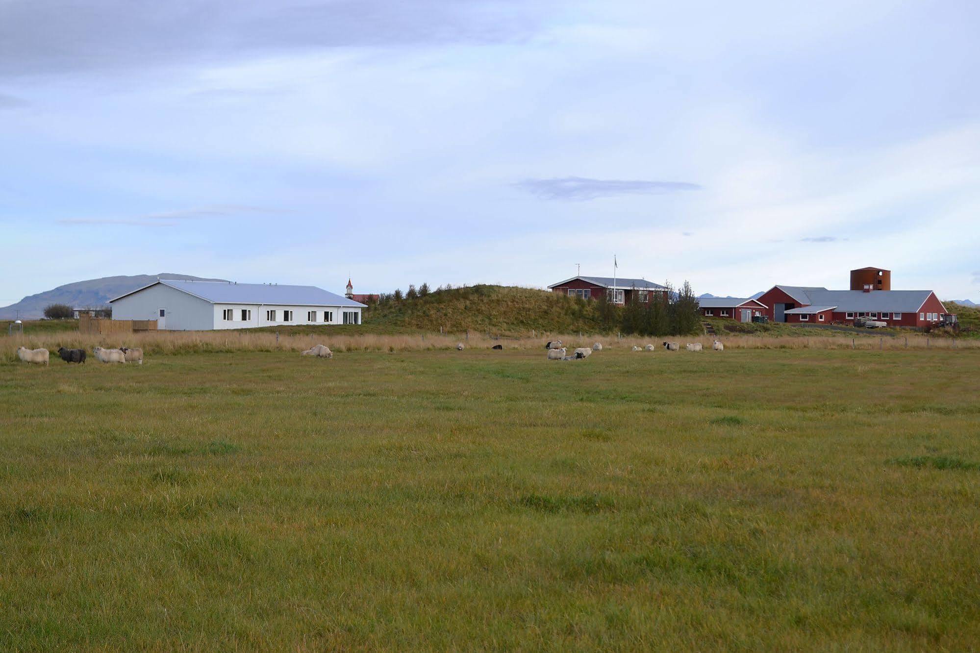 Lambastadir Guesthouse Selfoss Exterior foto