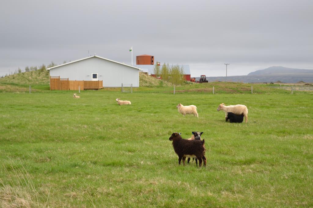 Lambastadir Guesthouse Selfoss Exterior foto